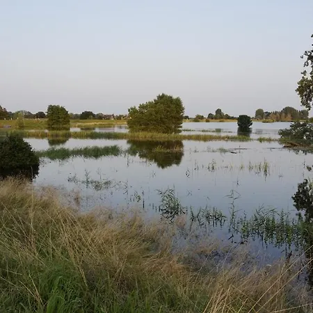 Thuis Bij Elles Bed & Breakfast Zuilichem