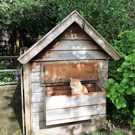 Bed & Breakfast Thuis Bij Elles