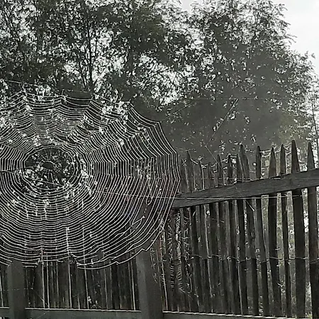 住宿加早餐酒店 Thuis Bij Elles Zuilichem