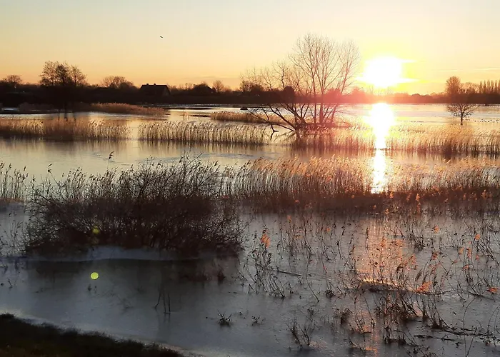 Bed & Breakfast Thuis Bij Elles