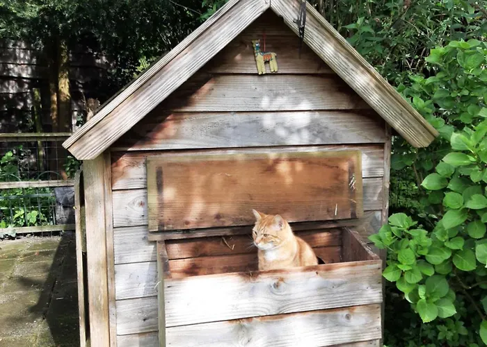 Bed & Breakfast Thuis Bij Elles