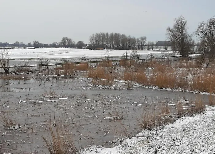 Thuis Bij Elles Bed & Breakfast Zuilichem