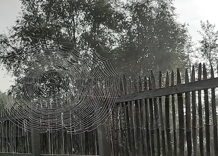 Bed & Breakfast Thuis Bij Elles Zuilichem