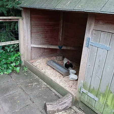 Thuis Bij Elles Zuilichem