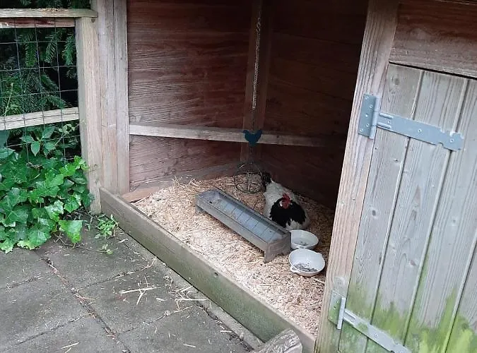 Thuis Bij Elles Zuilichem