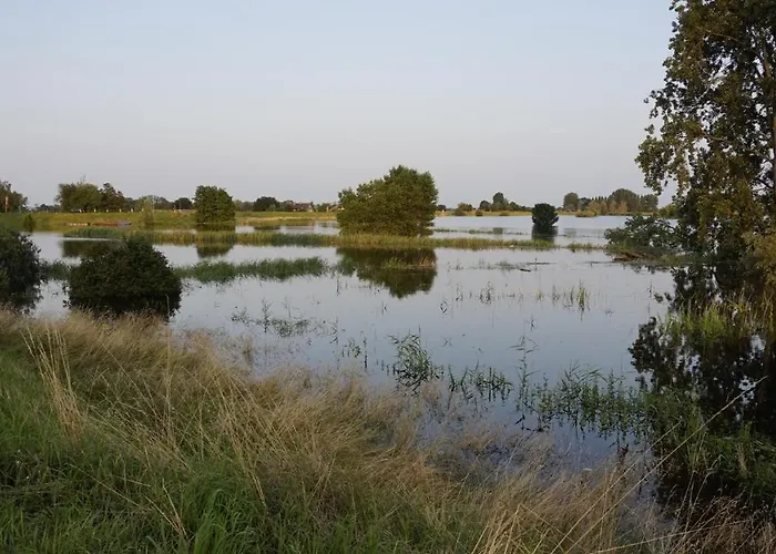 Thuis Bij Elles Bed and breakfast Zuilichem