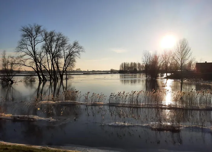 Bed and breakfast Thuis Bij Elles